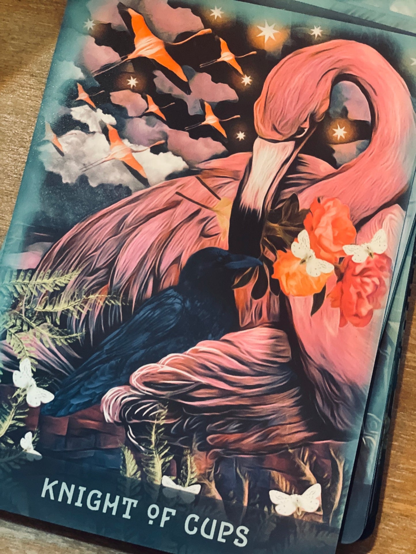 The Raven's Dream Tarot - 2nd printing - on hand